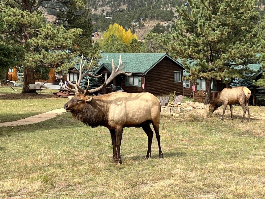Mountain Shadows Resort Естес Парк Екстериор снимка