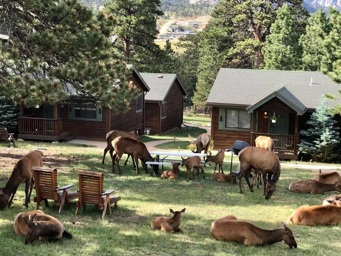 Mountain Shadows Resort Естес Парк Екстериор снимка