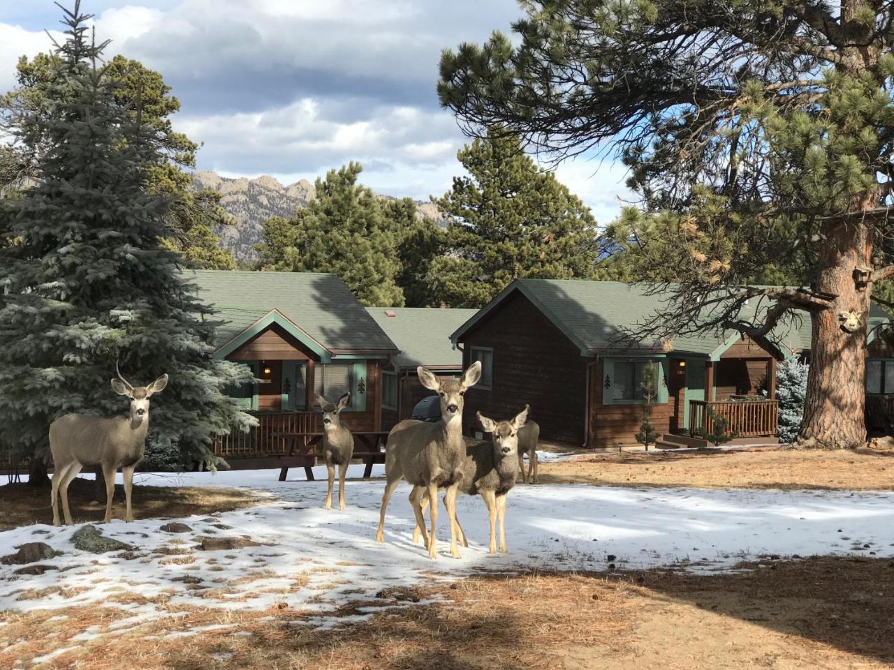 Mountain Shadows Resort Естес Парк Екстериор снимка